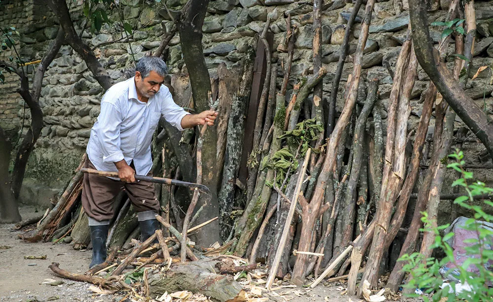Exploring the Art of Wood Finding and Woodworking in Nature