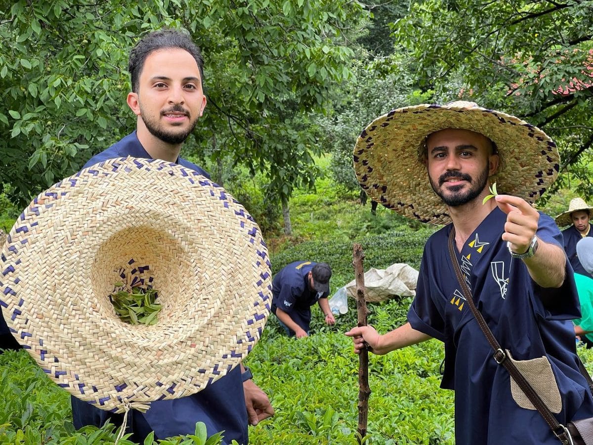 The experience of picking and drying tea with Reyhaneh