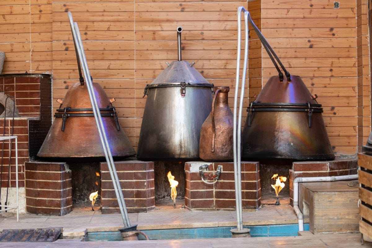 Herbal Plant Harvesting and Making Tinctures in Tonekabon