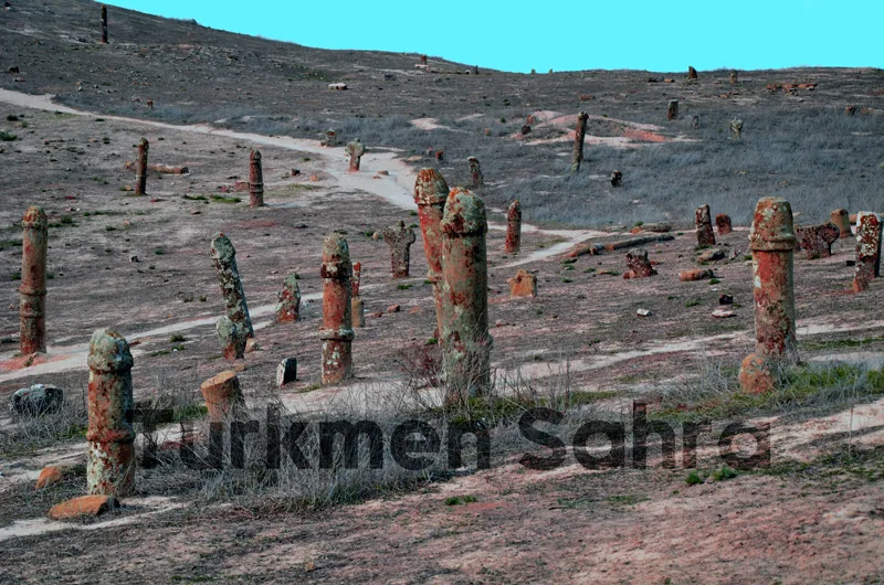 Turkmen Sahra