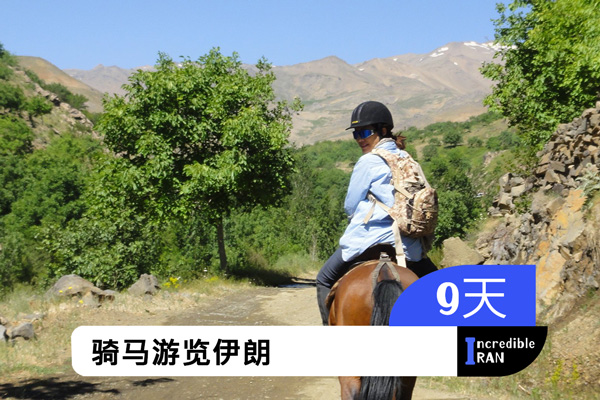 骑马游览伊朗