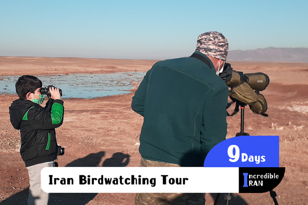 Iran Bird watching Tour