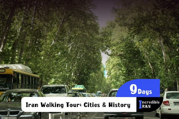 Iran Walking Tour: Cities & History
